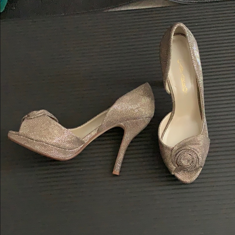 Elegant stylist Cinderella shoe